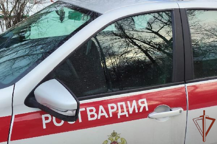 Росгвардейцы пришли на помощь курьеру, оказавшемуся в затруднительной ситуации в центре Москве