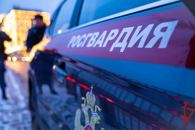 Московские росгвардейцы задержали хулигана, ударившего девушку в кафе