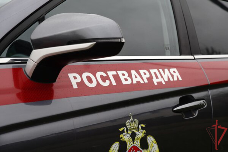 Росгвардейцы пресекли дебош в столичном хостеле