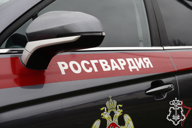 Московские росгвардейцы задержали нетрезвого водителя, совершившего ДТП (видео)
