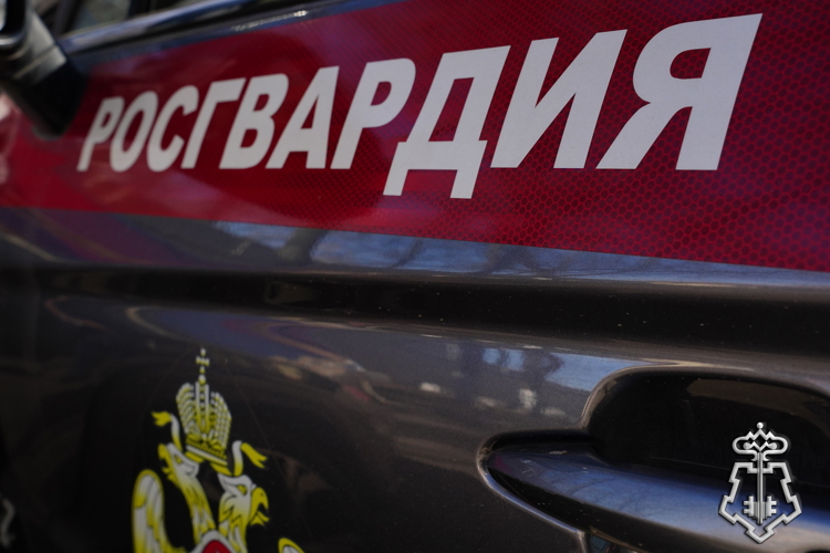Попытка сбыта пресечена: столичные росгвардейцы задержали наркокурьера