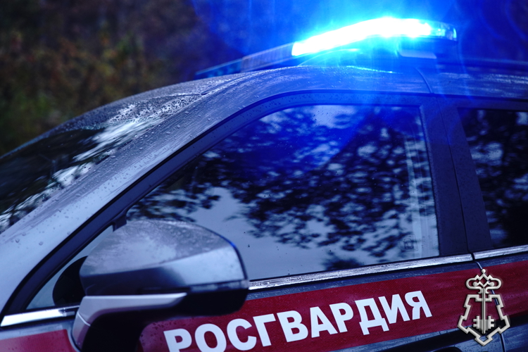 Росгвардейцы задержали мужчину с фальшивыми документами в Москве