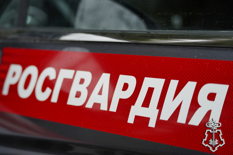 Московские росгвардейцы задержали дебошира