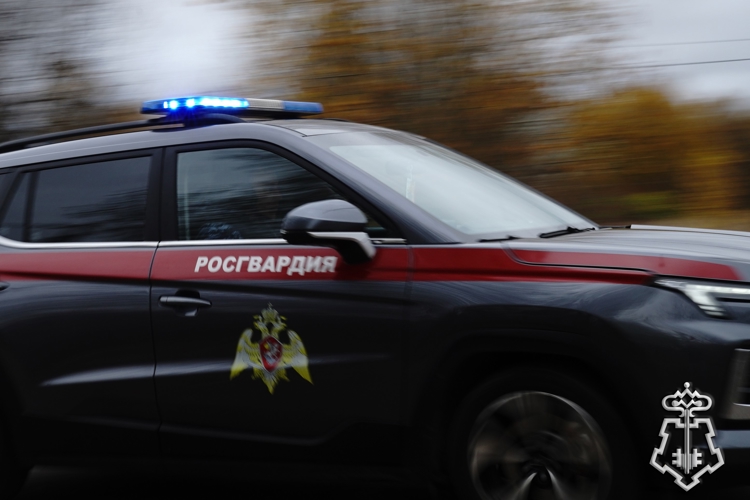 Росгвардейцы задержали мужчину, устроившего стрельбу в Москве