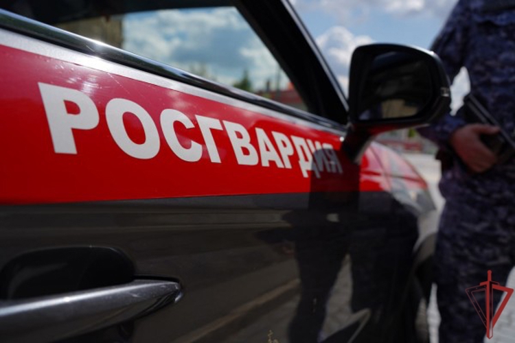 Росгвардейцы пришли на помощь автомобилистке, попавшей в ДТП в Москве (видео)
