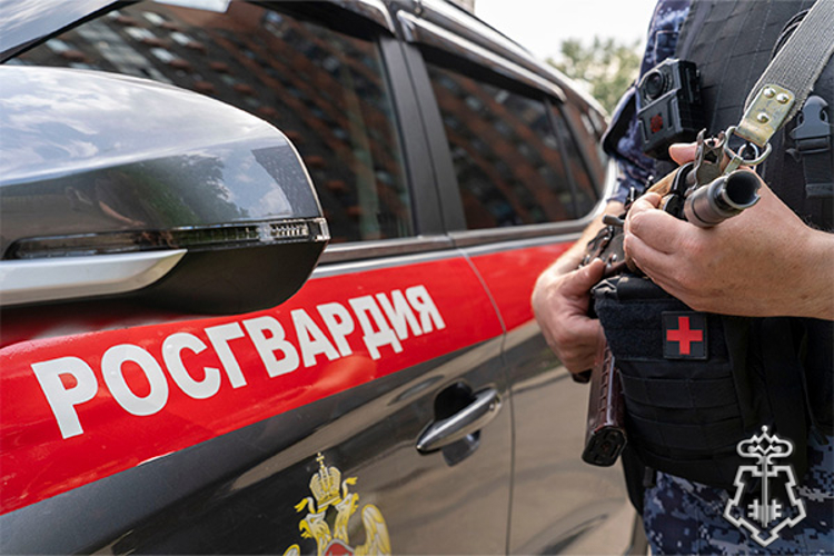 Столичные росгвардейцы оказали помощь мотоциклистке, пострадавшей в ДТП (видео)