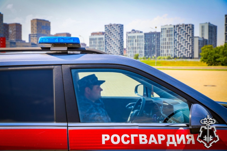 Московские росгвардейцы задержали иностранца, находящегося в розыске (видео)