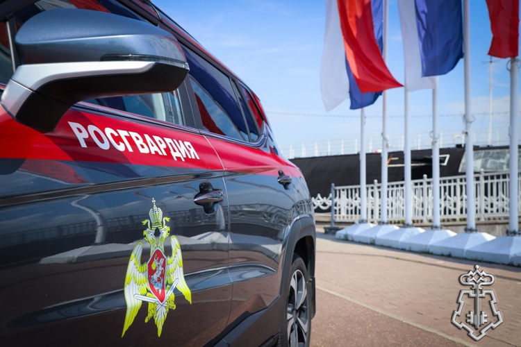 Росгвардейцы помогли водителю с неисправным автомобилем в центре Москвы (ВИДЕО)