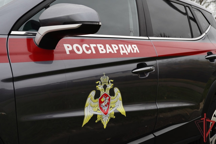 В Москве росгвардейцы помогли водителю завести заглохший автомобиль (видео)