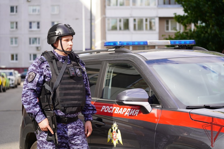 Столичные росгвардейцы задержали преступника, сбившего пешехода