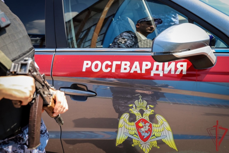 В Москве росгвардейцы задержали мужчину, разыскиваемого за взяточничество (видео)