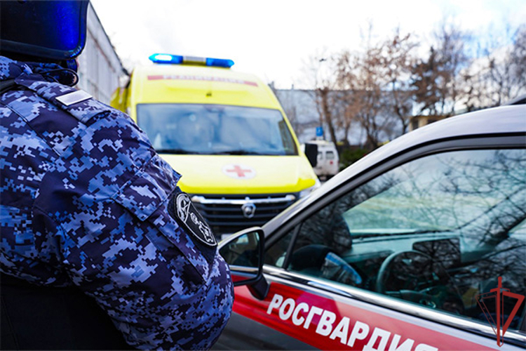 Сотрудники Росгвардии оказали помощь водителю авто в центре Москвы (ВИДЕО)