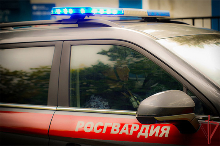 Росгвардейцы задержали дебошира в московском МФЦ (видео)