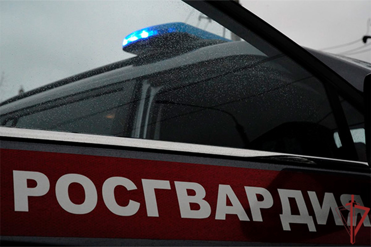 Столичные росгвардейцы задержали мужчину за кражу алкоголя в гипермаркете (видео)