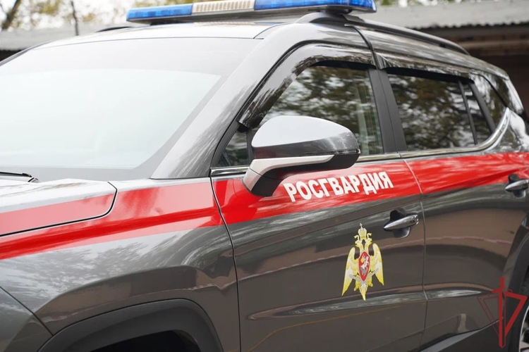 Московские росгвардейцы задержали в одном из хостелов буйную нарушительницу общественного порядка (видео)