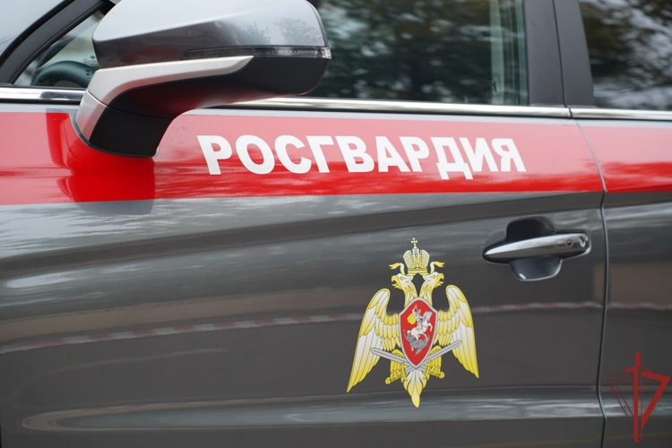 В Москве росгвардейцы задержали мужчину, подозреваемого в ограблении (видео)
