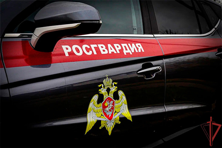 Росгвардейцы задержали дебошира в хостеле на юге столицы (ВИДЕО)