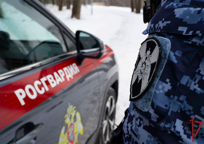 В Москве сотрудники Росгвардии помогли пенсионеру с переломом ноги (ВИДЕО)
