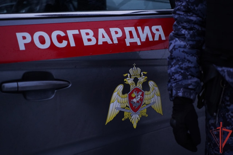 В Москве сотрудники Росгвардии предотвратили мошенничество в отношении 79-летней пенсионерки (ВИДЕО)
