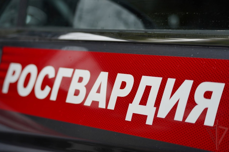 Столичные росгвардейцы нашли потерявшуюся девочку на юго-западе Москвы (видео)