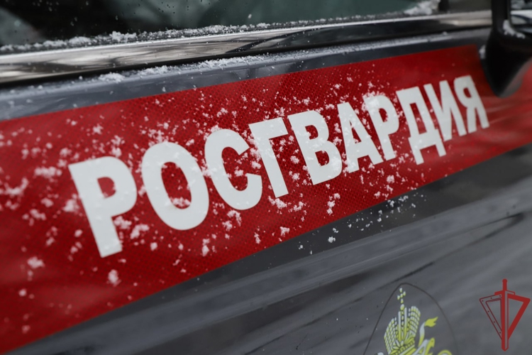 Столичные росгвардейцы вытащили машину из снежного заноса на оживленной дороге (видео)