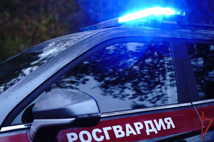 Сотрудники Росгвардии задержали находящегося в федеральном розыске мужчину на севере Москвы (видео)