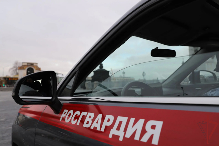 Столичные росгвардейцы задержали мужчину на грузовике, скрывшемся с места ДТП (видео) 