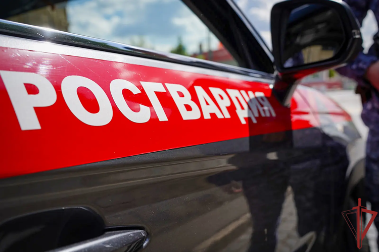 Московские росгвардейцы задержали мужчину, проникшего на территорию школы (видео)