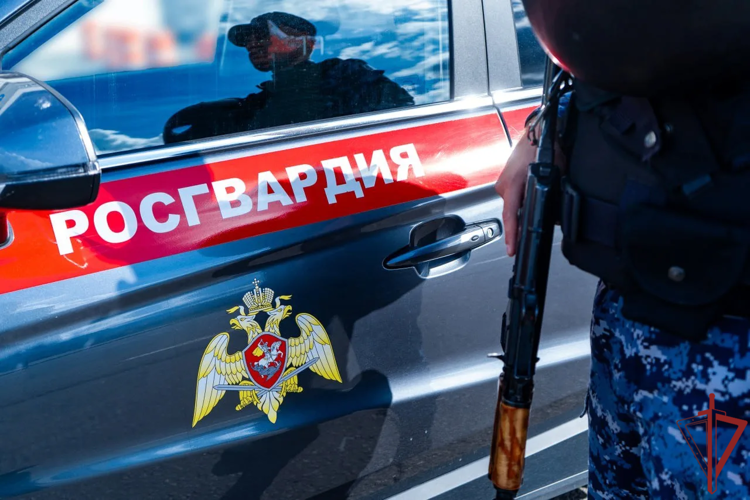 Столичные росгвардейцы пресекли кражу спиртного из супермаркета (видео)