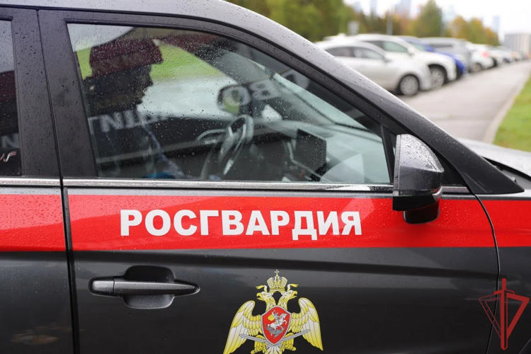 В Москве росгвардейцы задержали нарушителя, управлявшего автомобилем с подложными государственными номерами (видео)
