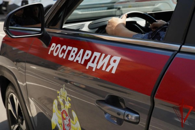 В Москве росгвардейцы задержали мужчину, подозреваемого в нанесении телесных повреждений пожилой женщине (видео)