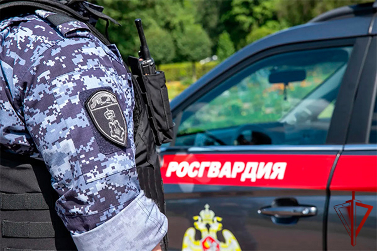 Столичные росгвардейцы задержали мужчину, находящегося в федеральном розыске (видео)