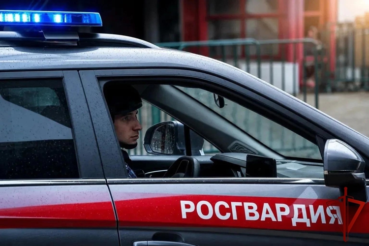 Московские росгвардейцы остановили водителя такси, находившегося в оперативном розыске (ВИДЕО)
