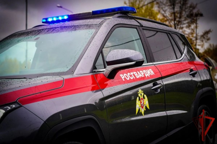В Москве росгвардейцы задержали нарушителя пропускного режима на охраняемом объекте (ВИДЕО)