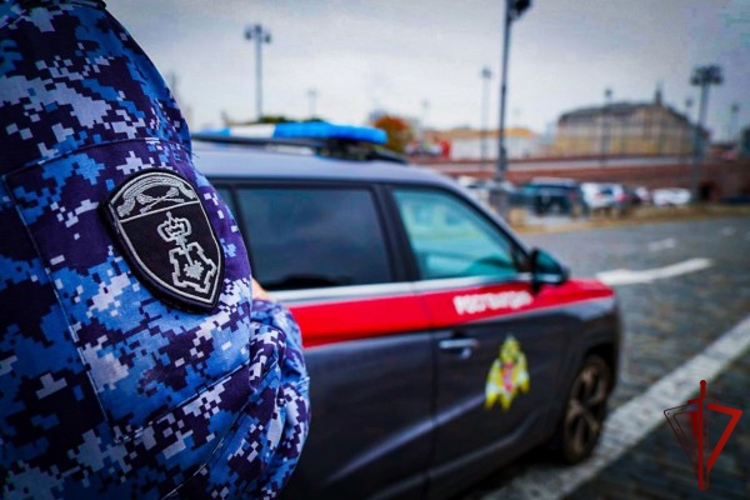 В центре столицы росгвардейцы задержали молодого человека с наркотиками (видео)