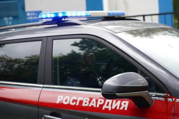 Сотрудники Росгвардии задержали неплательщика алиментов в Москве (видео)