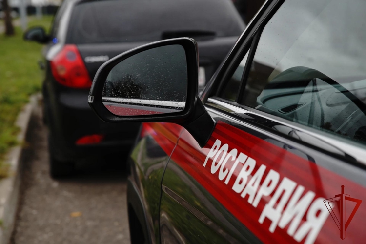 В Москве росгвардейцы задержали нетрезвого водителя, ставшего виновником ДТП (видео)